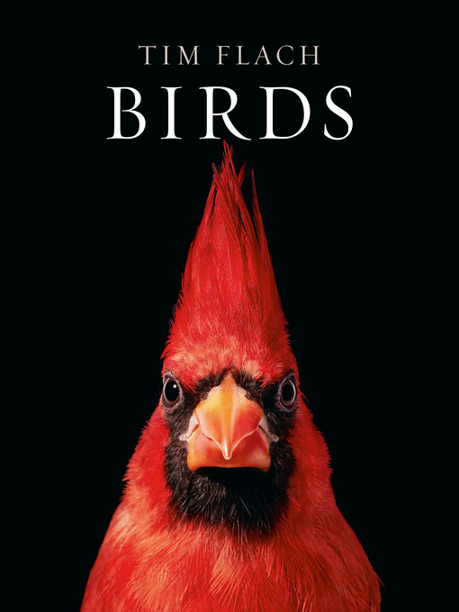 Title details for Birds by Tim Flach - Available